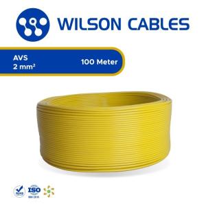 Wilson Cables - Kabel Otomotif / AVS 2 mm2 / 100 meter - Hijau